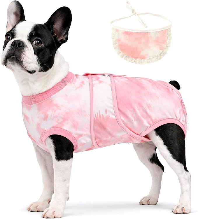 Soft Recovery Suit for Female/Male Dog Cat After Spay/Neuter Surgery, Bandana Set Included, E-Collar Cone Alternative Anti Licking Abdominal Wounds, Small Dogs Full Body Onesie, Pet Onesies Bodysuit