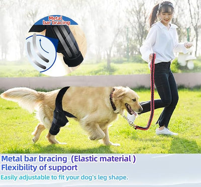 S Dog Leg Braces for Back Leg for Support with Cruciate Ligament Injury-Better Recovery with Dog Knee Brace for Torn Acl Hind Leg-Adjustable Hip Dysplasia Dog Acl Brace Hind Leg Rear