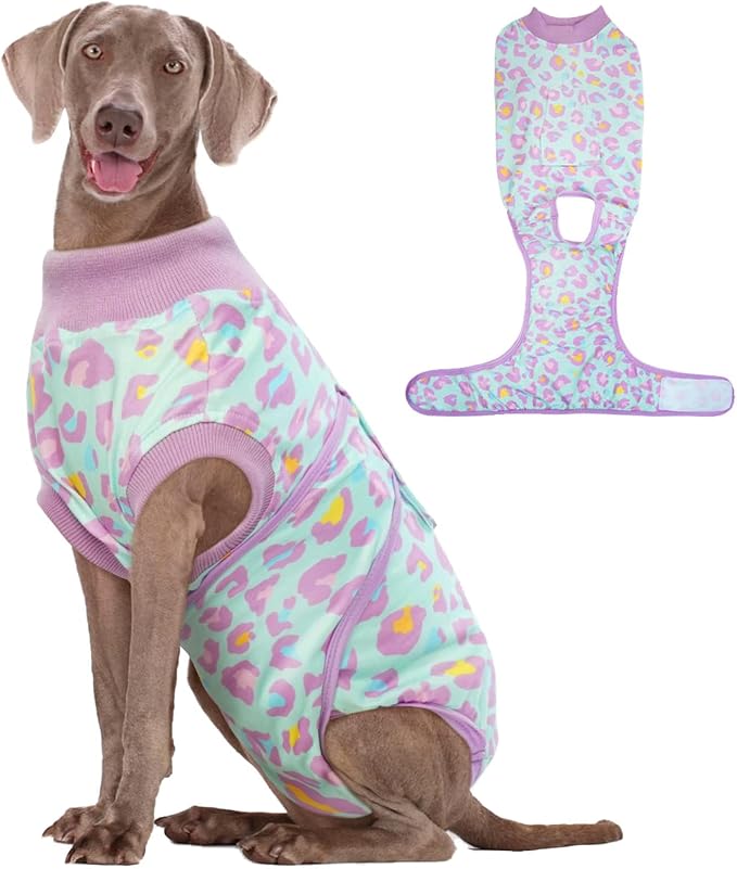 Dog Recovery Suit for Dogs After Surgery,Professional Surgical Onesie for Female Male Dogs Spay Neuter,Soft Dog Surgery Suit Bodysuit for Abdominal Wounds Skin Disease,Light Purple Leopard 2XL