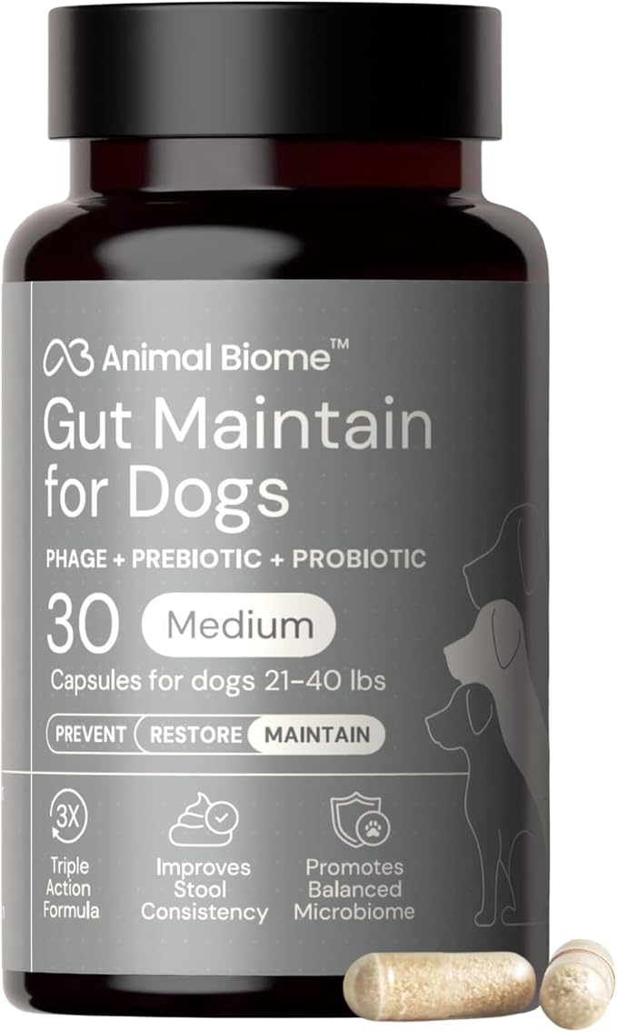 Animal Biome Probiotics for Dogs with S Boulardii, Gut Maintain (30 Capsules) – Triple-Action Medium Dog Probiotics, Prebiotics & Phage Supplements for Gut Health, Firmer Stool & Diarrhea Support