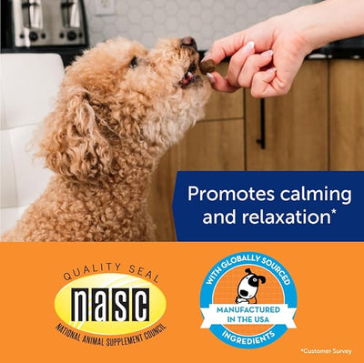 ThunderBites Dog Calming Chews, Thiamine, L-Tryptophan, Melatonin and Ginger, Can Help Relieve Stress from Separation, Storms, Fireworks & Travel (60 Count), Formerly ThunderWunders