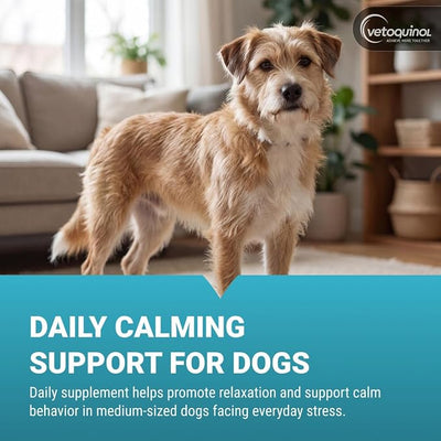 Vetoquinol Zylkene - Calming Oral Support for Medium Dogs & Large Cats - Supports Behavior & Occasional Anxiety - for Boarding, Vet Visits & Celebrations - Non-Drowsy & Lactose-Free - 120 Capsules