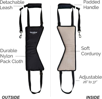 GINGERLEAD Dog Sling Hip Lift Harness, Tall Male fits Tall, Lean Dogs Like Greyhounds or Great Danes. Padded Support Aid to Help Pets Up or Down Stairs, in or Out of Vehicles. Made in U.S.A.