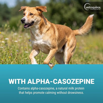 Vetoquinol Zylkene - Calming Oral Support for Medium Dogs & Large Cats - Supports Behavior & Occasional Anxiety - for Boarding, Vet Visits & Celebrations - Non-Drowsy & Lactose-Free - 30 Capsules