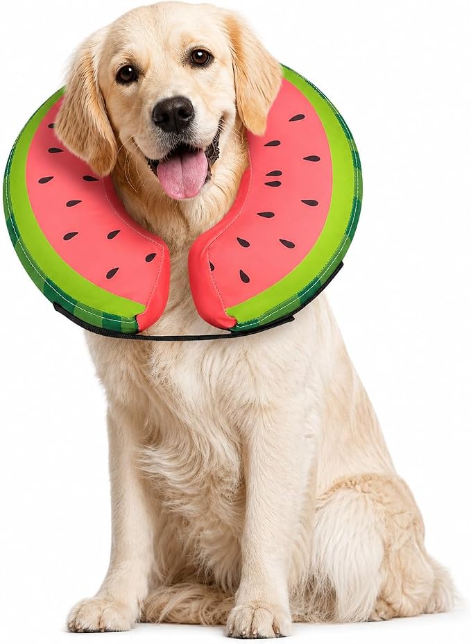MIDOG Soft Inflatable Dog Cone, Donut E-Collar Alternative for After Surgery, Prevents Licking, Allowing Normal Eating & Vision, Comfortable Recovery Collar for Small Medium Large Dogs & Cats, Red-L