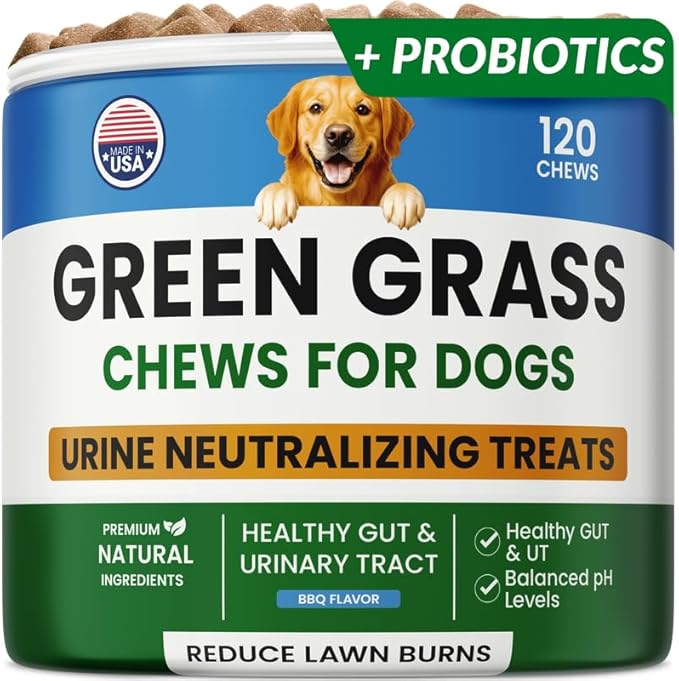 Dog Pee Grass Chews - Grass Treatment for Pet Urine - Neutralizer for Green Grass Burn Urine Spots - Green Lawn Chews for Dogs with Probiotics - Made in USA (120Ct)