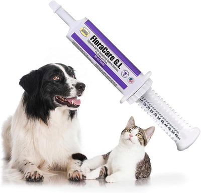 FloraCare GI Digestive Paste for Dogs & Cats – Helps Diarrhea, Upset Stomach & Occasional Gastric Distress – Gut Health Support with Easy Oral Syringe – Veterinarian Recommended Digestive Aid – 60cc