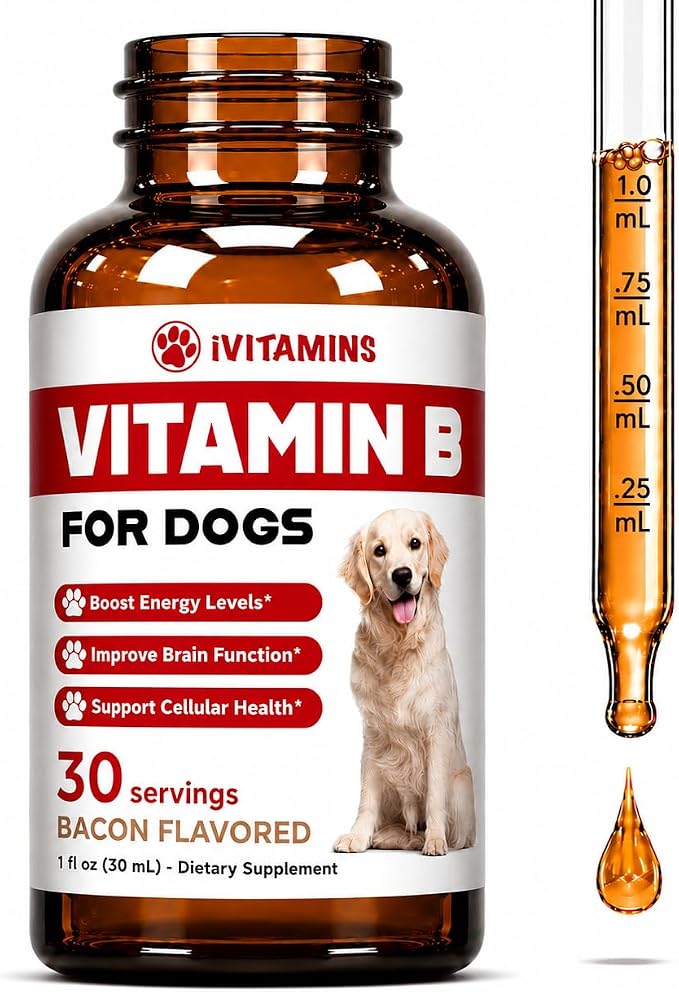 Vitamin B for Dogs - Vitamin B Complex for Dogs - Supports Healthy Energy, Appetite, Eyesight & Much More - Dog Vitamins - B Complex for Dogs - 1 fl oz - Bacon Flavor