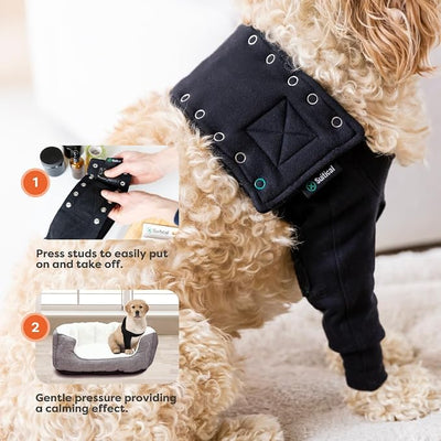 Suitical Recovery Sleeve for Dogs - Interchangeable, Single Sleeve Front Leg Protection for Post-Surgery, Hot Spots, or Skin Issues - Breathable, Machine Washable - L Black - Chest: 25.2-33.1 in