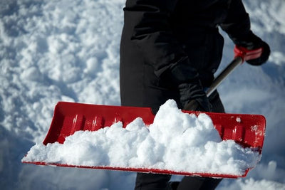 Garant NPP26KD Nordic 26-Inch Poly Blade Snow Pusher-Red