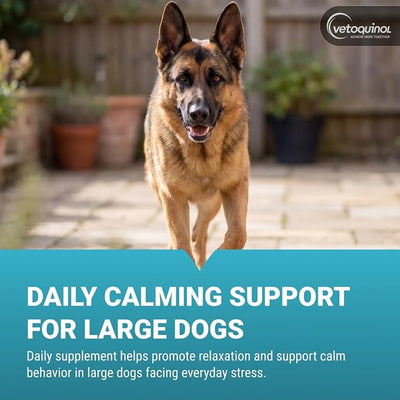 Vetoquinol Zylkene - Calming Support for Large Dogs 33–132 lb - Supports Behavior & Occasional Anxiety - Perfect for Boarding, Vet Visits & Celebrations - Non-Drowsy & Lactose-Free - 14 Capsules