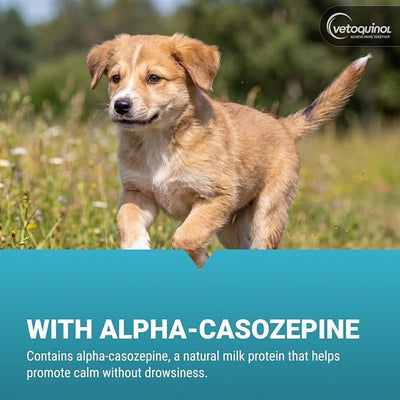 Vetoquinol Zylkene Calming Support Supplement for Small Dogs and Cats, Promotes Relaxation, Reduces Stress, and Supports Occasional Anxiety Relief for Dogs and Cats, 75mg - 120 Capsules
