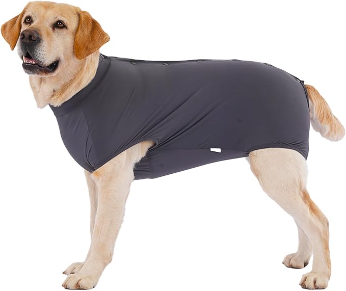 LovinPet Dog Recovery Suit, Snap-Back Post-Op Onesie for Large Dogs, Post-Spay Bodysuit for Female Dogs with Cushioned Belly Panel, Grey, XXL