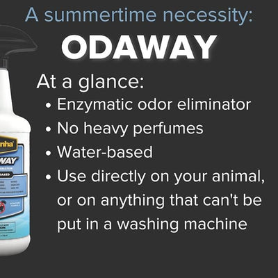 Pyranha Odaway Ready-to-Use Odor Eliminator Spray – Broad Spectrum Scent Neutralizer for Home, Kennel, Car, Bathroom & Gear, BOV Can 15 oz