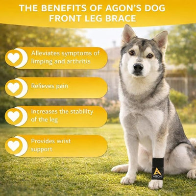 Agon® Dog Canine Front Leg Brace Paw Compression Wraps with Protects Wounds Brace Heals and Prevents Injuries and Sprains Helps with Loss of Stability Caused by Arthritis (Small/Medium)