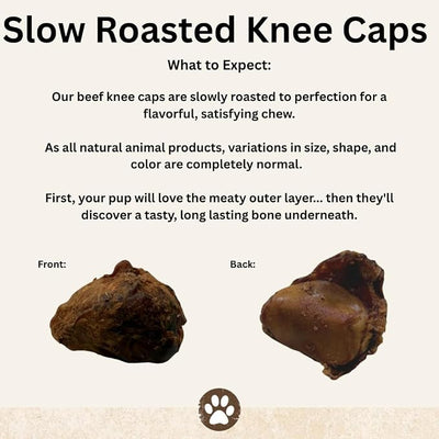 Top Dog Chews Knee Caps, 20 Count, Dog Beef Chew Bones, Long Lasting Treats for Aggressive Chewers, Perfect for Large, Medium, or Small Dogs, Made in USA