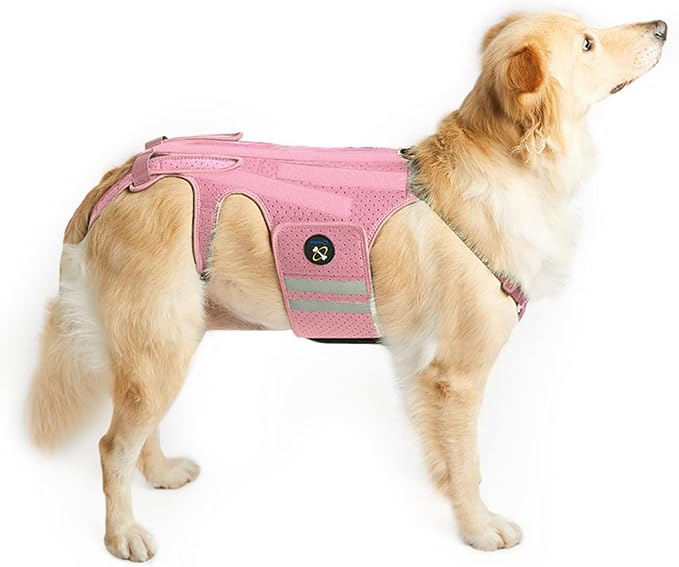 Coodeo Dog Back Brace for Dogs Arthritis, Pet Back Bracer for IVDD, Back Protector Helps Pain Relief, Surgical Recovery and Rehabilitation, Dogs Back Disease Prevention. (Pink,Small)