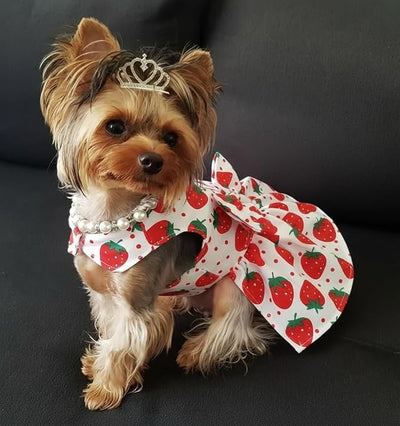 Dog Dress Bowknot Harness Leash Set for Small Dogs Red Strawberry Dog Cat Clothes Cute Puppy Outfits Pet Clothes Spring Summer Breathable Dresses(Large)