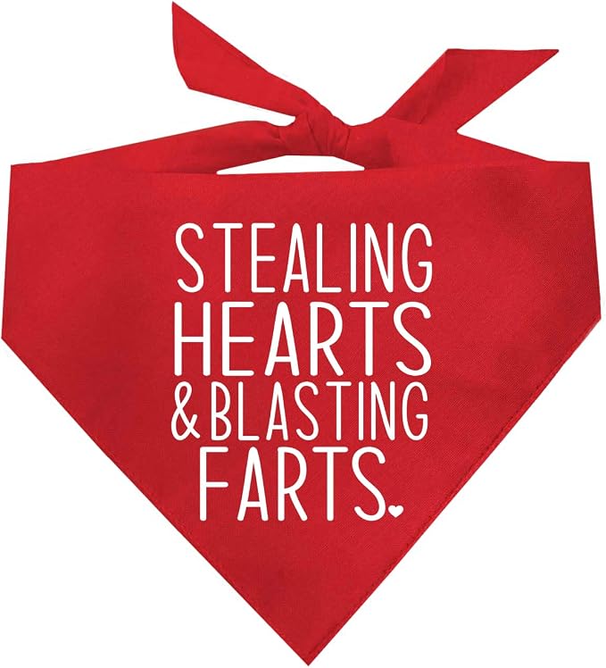 Stealing Hearts Blasting Farts Dog Bandana | 100% Cotton Adjustable Triangle | Made in USA | Valentine's Day | Cute & Funny |Red, One Size (983)