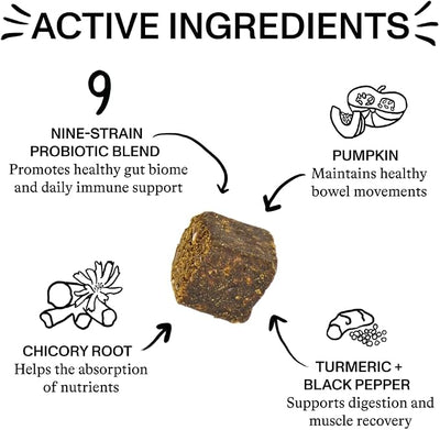 Spot & Tango Probiotics Supplements for Dogs - Vet-Approved for Healthy Digestion and Balanced Gut - Pumpkin, Turmeric, Chicory Root, Black Pepper, Nine-Strain Probiotic Blend, 56 Count