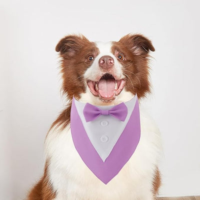 Tuxedo Dog Collar for Wedding Engagement and Birthday, Formal Dog Bandana Collar Costume with Bow Tie and Adjustable Buckle,Suitable for Small Medium Large Dog. (Purple, XS)