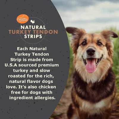 Canine Naturals Turkey Tendon Strips for Dogs - Rawhide-Free, Natural Dog Chews - USA-Sourced, Slow-Roasted, Single Protein for Sensitive Stomachs & Chicken Allergies -, 3 oz Bag