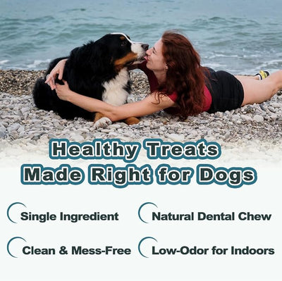 VITADAY 100% Fish Skin Dog Jerky Treats, Braids (L), 3 oz, 1-Pack | Natural dog jerky treats, rawhide alternative, 100% fish skin rich in collagen and omega-3, for all dogs, braids (L), 3 oz