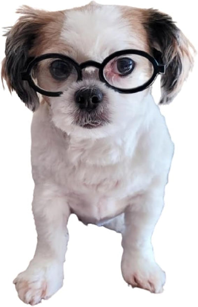 G002 Dog Pet Clear Lens Costume Glasses Small to Medium Breeds 12LBS~30LBS Prop Photoshoot Sunglasses (Th Oval Black-Clear)
