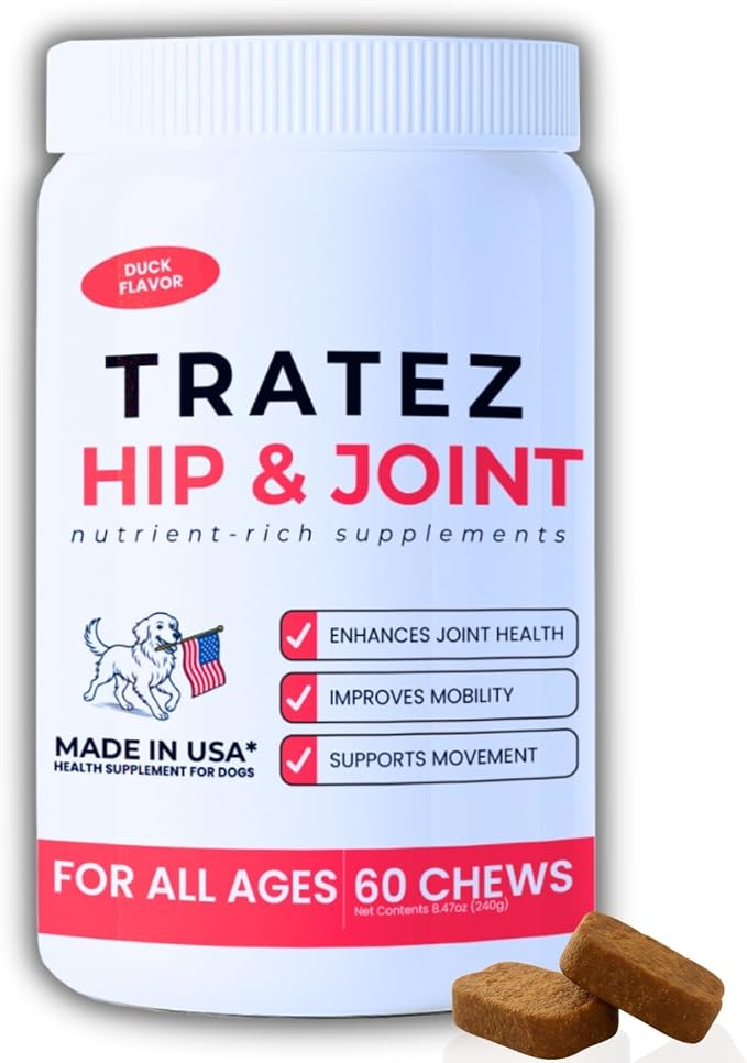 Hip & Joint Supplement for Dogs - Glucosamine Chondroitin MSM & Green Lipped Mussel Soft Chews - Dog Joint Pain & Mobility Support for Senior & Large Breed Dogs, Duck Flavor, 60 Count