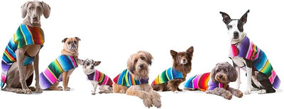 Dog Clothes - Handmade Dog Poncho from Authentic Mexican Blanket (Blue, XXS)