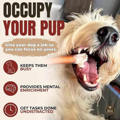 Bully Bunches Premium (6" Standard - 10 Pack) Odor-Free Bully Sticks for Small to Medium Dogs & Puppies - Consistently Sized, Long Lasting Chews for Oral Care - All Natural, 100% Beef Dog Treats