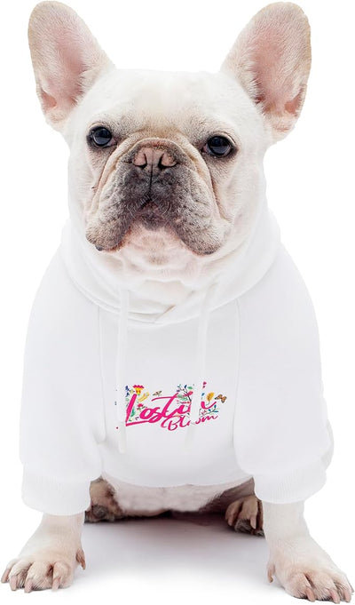 Blooming Teddy Dog Hoodie Dog Clothes Extra Warm Fleece Lining Stretchy Fit for Small Dogs ((White, Small))