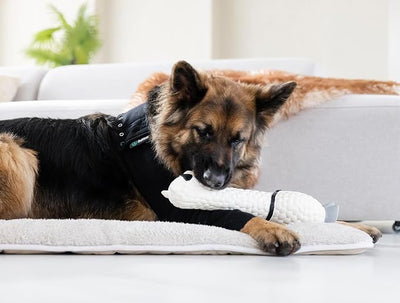 Suitical Recovery Sleeve Dog, XX-Large, Black