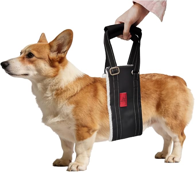 Leather Dog Lift Harness for Small Dogs, Doggie Walking Sling, Dog Sling Belly Support Strap, Pet Assist Harness for Senior,Injured,Disabled Dogs After ACL Surgery S