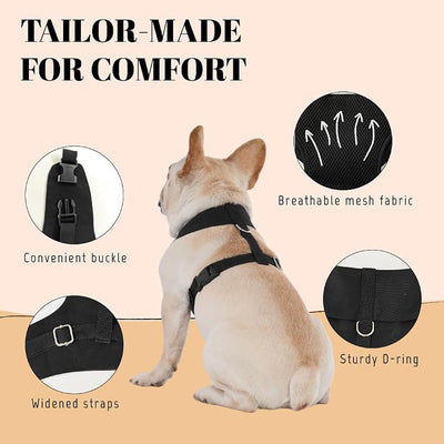 AVERYDAY Dog Tuxedo for Wedding Outfit, Dog Suit and Tie Costumes for Birthday, Halloween, Cosplay, Christmas Party, Pet Formal Wear with Bowtie, Tux for Medium Large Dogs, Bulldog, Labrador, Husky