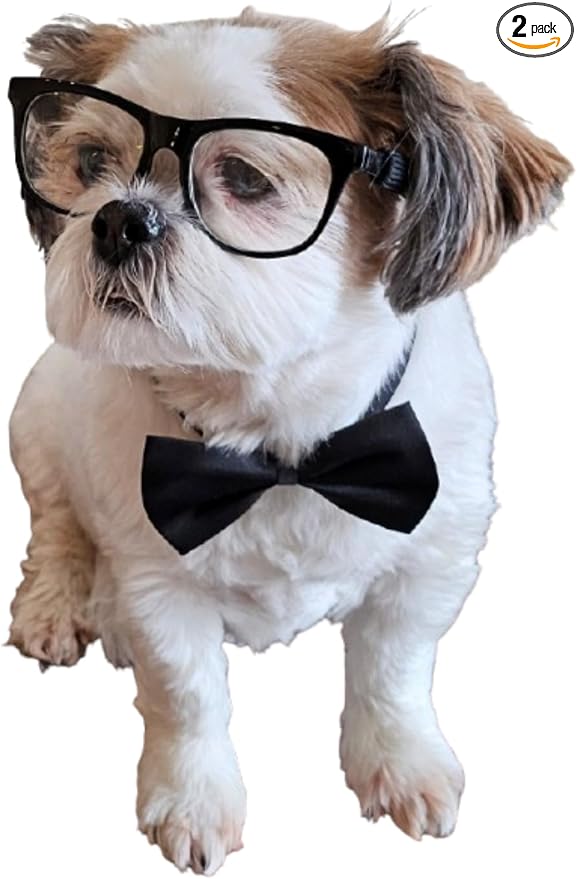 C05 Dog Pet Costume Set Retro Glasses + Bow Tie Small to Medium Breeds 12-30lbs Party Prop Cosplay Party (80s Black-Clear + Black Bow Tie)