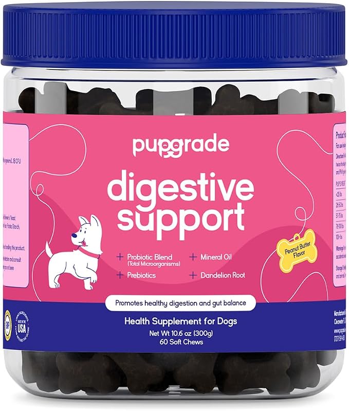 Digestive Support for Dogs - Prebiotic + Probiotic Supplement with Enzyme Blend - Gut and Immune Support - Pumpkin, Blueberry, Mineral Oil, Peanut Butter Flavor - 60 Soft Chews
