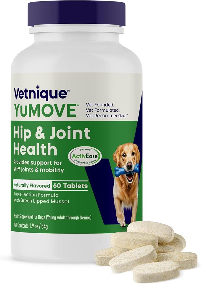 Dog Hip & Joint Supplement, Regular or Advanced Strength - ActivEase Green Lipped Mussel, Glucosamine, Hyaluronic Acid & Omega 3 - Chewable Tablets (60ct Chewable Tablets, Regular Strength)