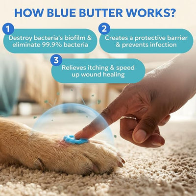 Forticept Blue Butter – Hot Spot Treatment for Dogs Cats | Dog Cat Wound Care | Skin Yeast Infections, Ringworm, Cuts, Rashes, First Aid Veterinary Strength Anti Itch Cream 4oz