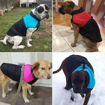 Winter Waterproof Windproof Dog Jacket - Warm Vest Coat for Small & Medium Dogs - Not Suitable for Big Dogs C-red XX-Small
