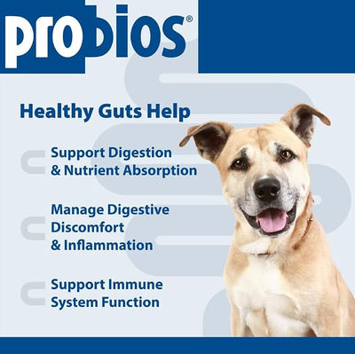Probios for Dogs Soft Chews, Daily Probiotic Supplement for Gut Health, Digestion and Immune Support Medium and Large Breeds, Chicken Liver Flavor, 8.46oz 60 Chews (Pack of 2)