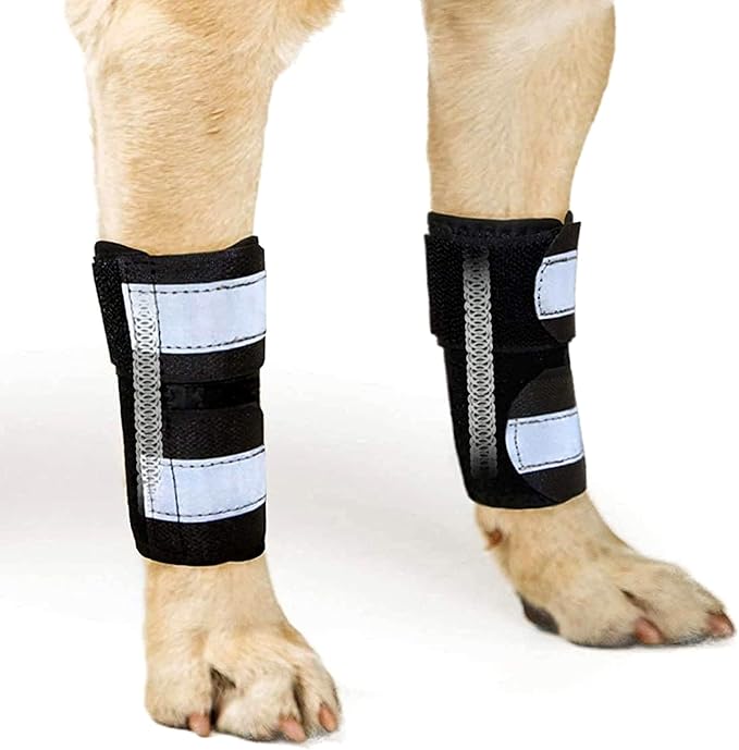 Front Leg Brace for Dogs & Cats, Dog Leg Brace with Metal Spring Inserts, Dog Leg Sleeve for Carpal Support, Dog Leg Sleeve with Reflective Straps, XXS/XS, Pair