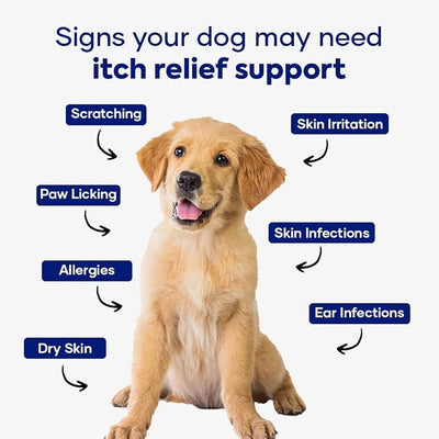 Itch & Allergy Combo for Dogs | Itch Relief Chews + Allergy & Immune Support | Borage Oil, Vitamin E, Krill Oil | Seasonal Allergy Dog Supplement - Pack of 2