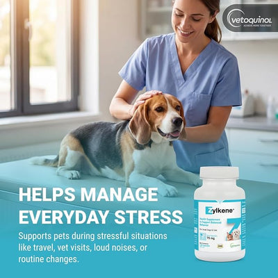 Vetoquinol Zylkene Calming Support Supplement for Small Dogs and Cats, Promotes Relaxation, Reduces Stress, and Supports Occasional Anxiety Relief for Dogs and Cats, 75mg - 120 Capsules
