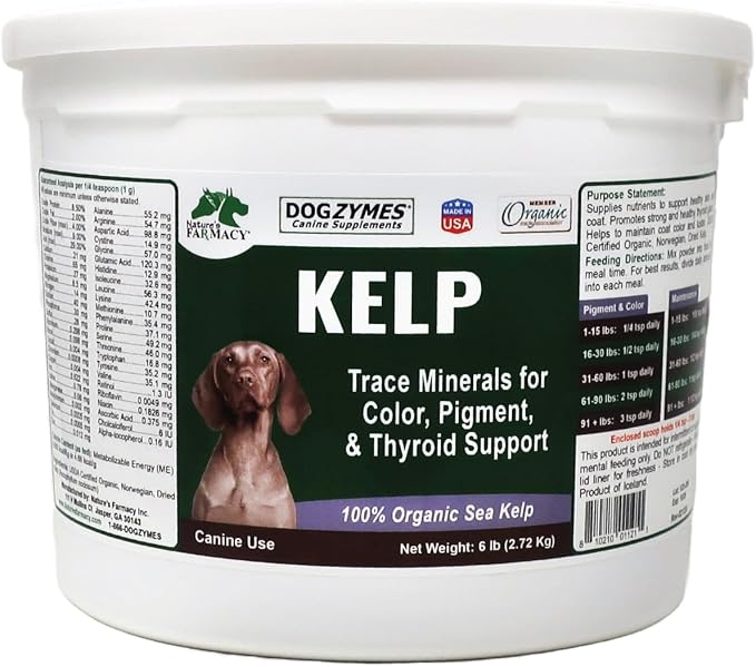 Organic Norwegian Kelp for Pets, a Valuable Nutrition Source Rich in Iodine to Support Gland Function, Especially The Thyroid (6 Pound)