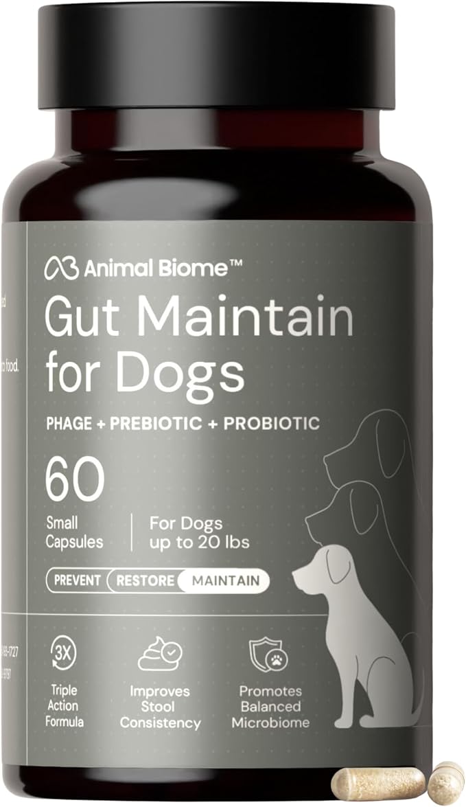 Probiotics for Dogs with S Boulardii, Gut Maintain (60 Capsules) – Triple-Action Small Dog Probiotics, Prebiotics & Phage Supplements for Gut Health, Firmer Stool & Diarrhea Support