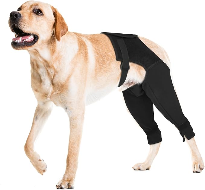 Dog Rear Leg Sleeve to Stop Licking, Breathable Anti-Slip Recovery Sleeve Pants for Wound Protection After ACL/TPLO Surgery, Hot Spots, Lick Granulomas–Cone Alternative for Leg Healing,XL