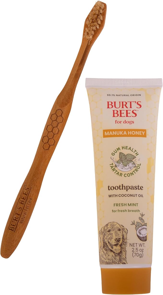 Burt's Bees for Pets Fresh Mint Dog Dental Kit with Bamboo Toothbrush & Dog Toothpaste, Manuka Honey & Coconut Oil for Gum Health, Tartar Control, 99.1% Natural Origin Formula, 2.5 Oz