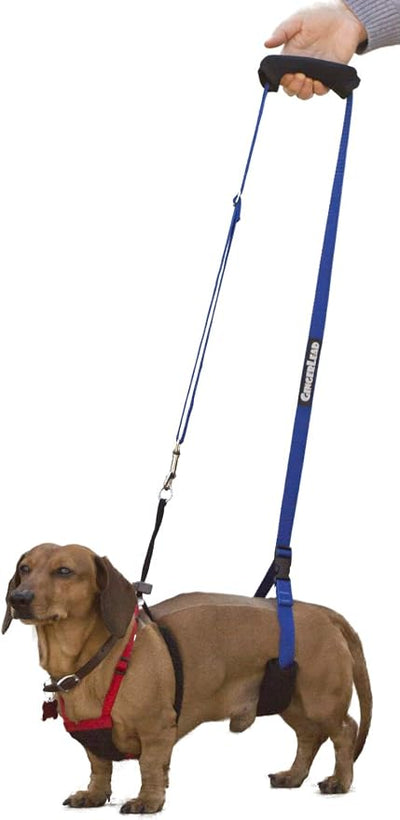 GINGERLEAD Dog Support Sling Harness, X-Small Fits Pets Under 25 lbs or Male Dachshunds with IVDD, Spinal Disc Disease, or Back Injuries. Assist Old or Arthritic Pets. Chest Harness not Included.