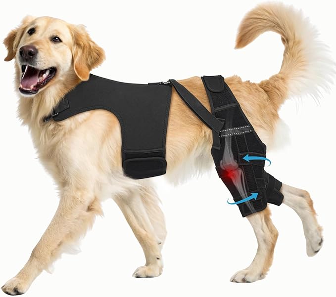 Dog Knee Brace for Torn ACL Hind Leg– Dog Leg Brace with Metal Stabilizers for Dogs with Torn ACL, Luxating Patella, Ligament Injuries & Hip Dysplasia, Limping or Osteoarthritis Recovery, XL